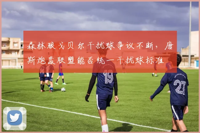 森林狼戈贝尔干扰球争议不断，唐斯炮轰联盟能否统一干扰球标准