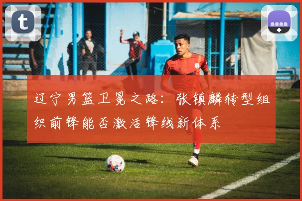 辽宁男篮卫冕之路：张镇麟转型组织前锋能否激活锋线新体系