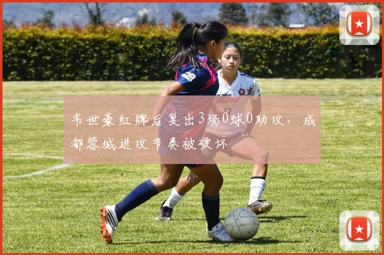 韦世豪红牌后复出3场0球0助攻，成都蓉城进攻节奏被破坏